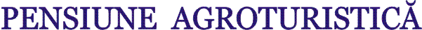 Graphic2.gif (29122 bytes)
